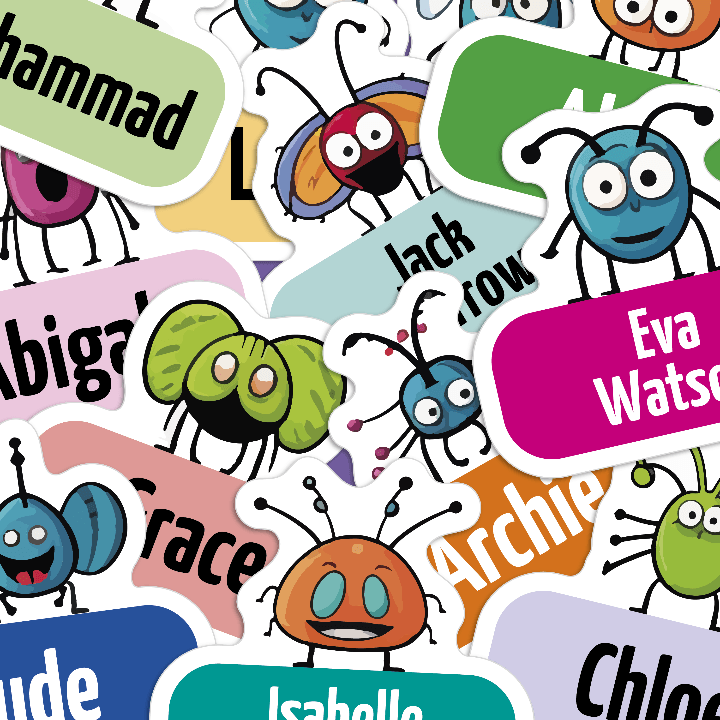 Various bugs, cut out on colourful name tags, with peoples names on bright coloured backgrounds