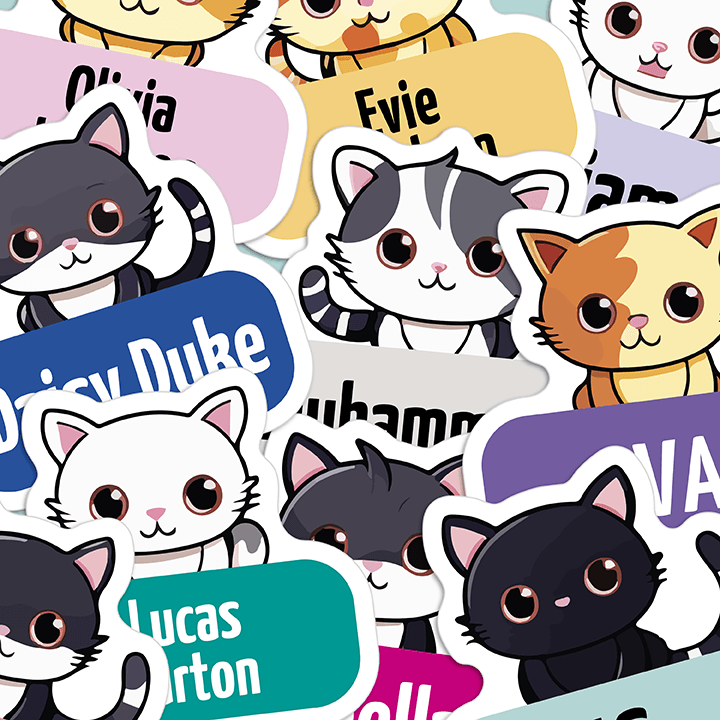 Selection of different cats and kittens on shaped name tags. Bright coloured backgrounds with peoples names on them.
