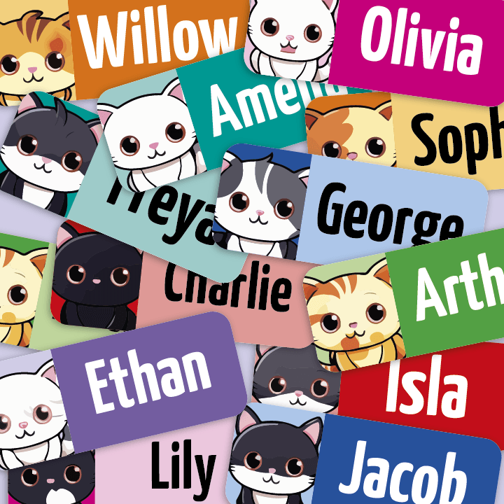 Product shot showing My Tags Small Cute cats. Lots of bright coloured labels and names