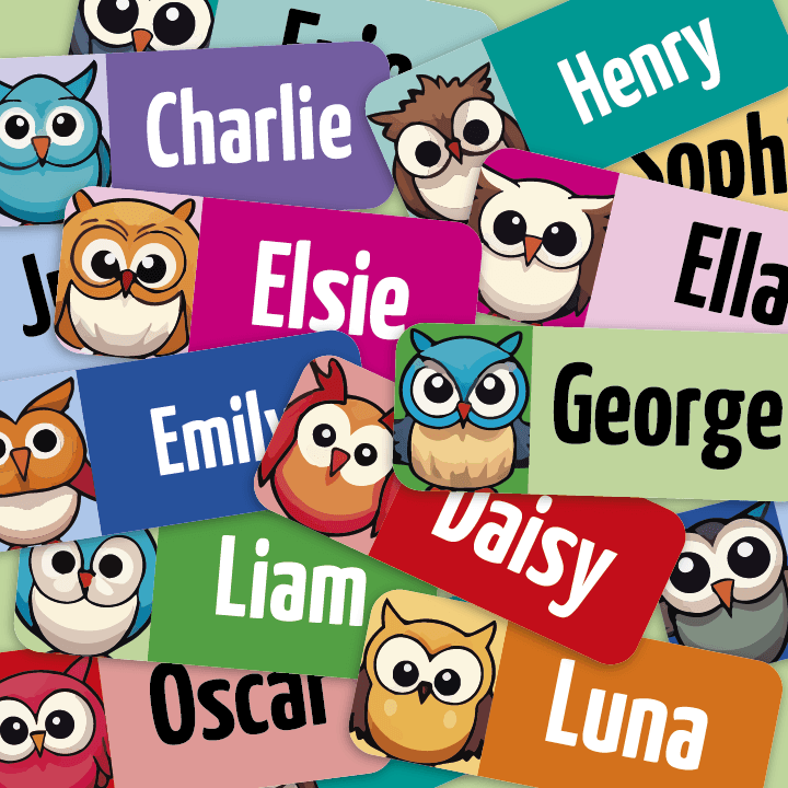 Product shot showing My Tags Small Cute owls. Lots of bright coloured labels and names