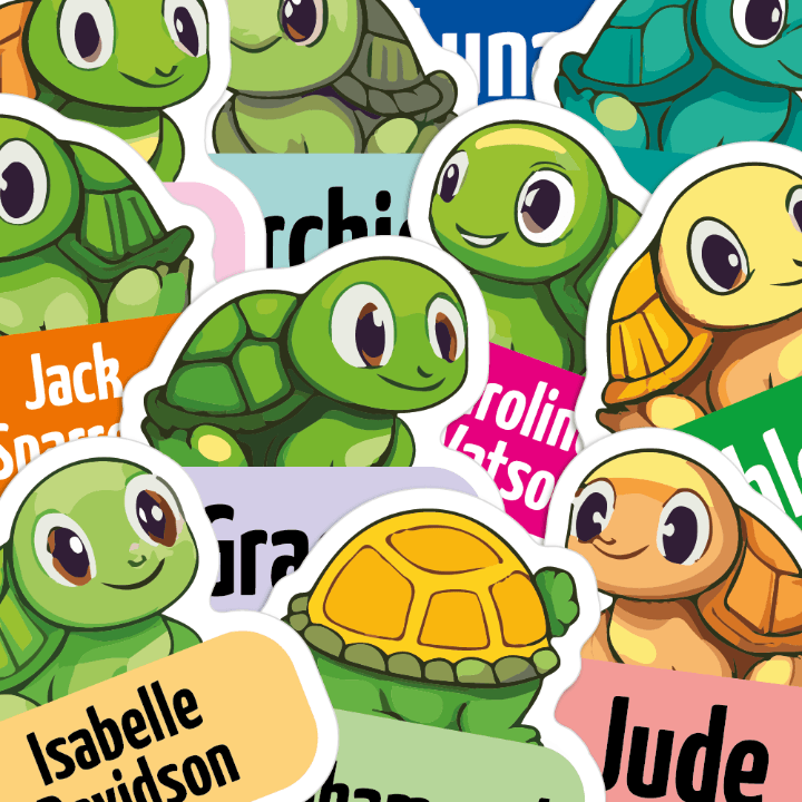 Picture of various turtles used on name tags, with different colours and names of people on them